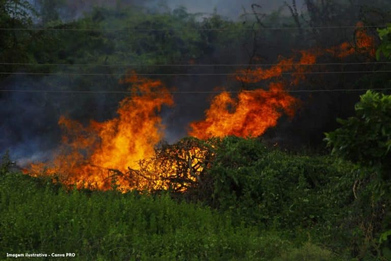 Governo de SP envia 11 mil litros de líquido retardante para combater incêndios florestais no Amazonas