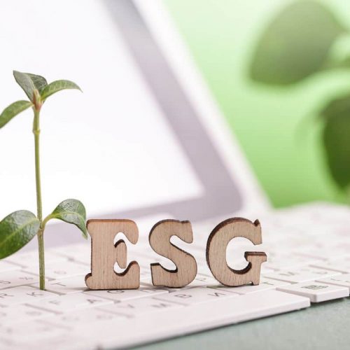 Análise Agenda ESG