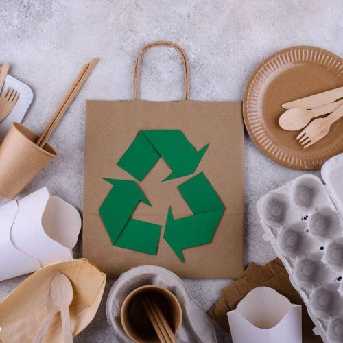 greenTalks Sustentabilidade de Embalagens
