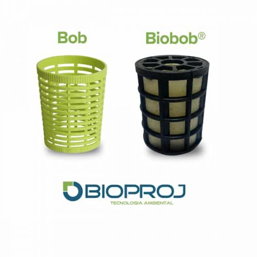 biobob