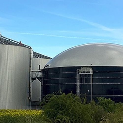 biogas-sustentavel-suinocultura