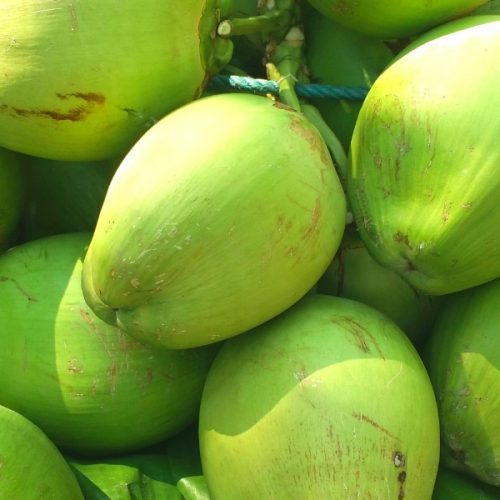 Unespar aproveitamento casca de coco verde