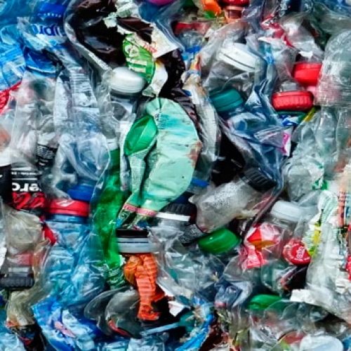 pesquisa-cara-plastico-biodegradavel