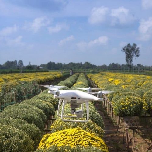 Imagem drone sobrevoando o campo